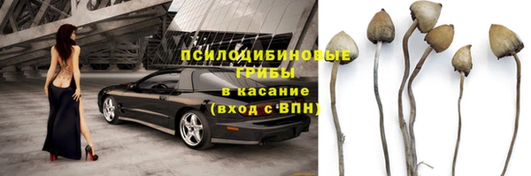 jwh Аркадак
