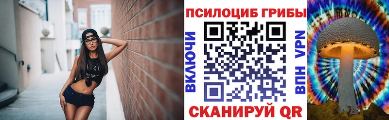 Галлюциногенные грибы прущие грибы Богучар